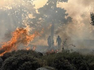 Fires trigger red flag warnings in Northeast as crews continue to battle California blaze