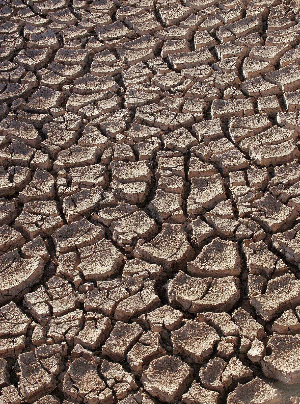 - Drought ​Warning Issued in New York⁢ City Amid​ Historic Rainless Streak